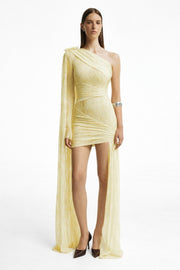 Draped Panel Mini Dress