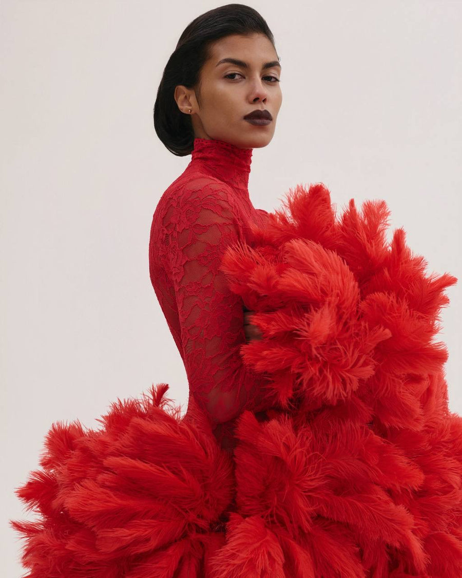 Lace Dress with Feathers Tail