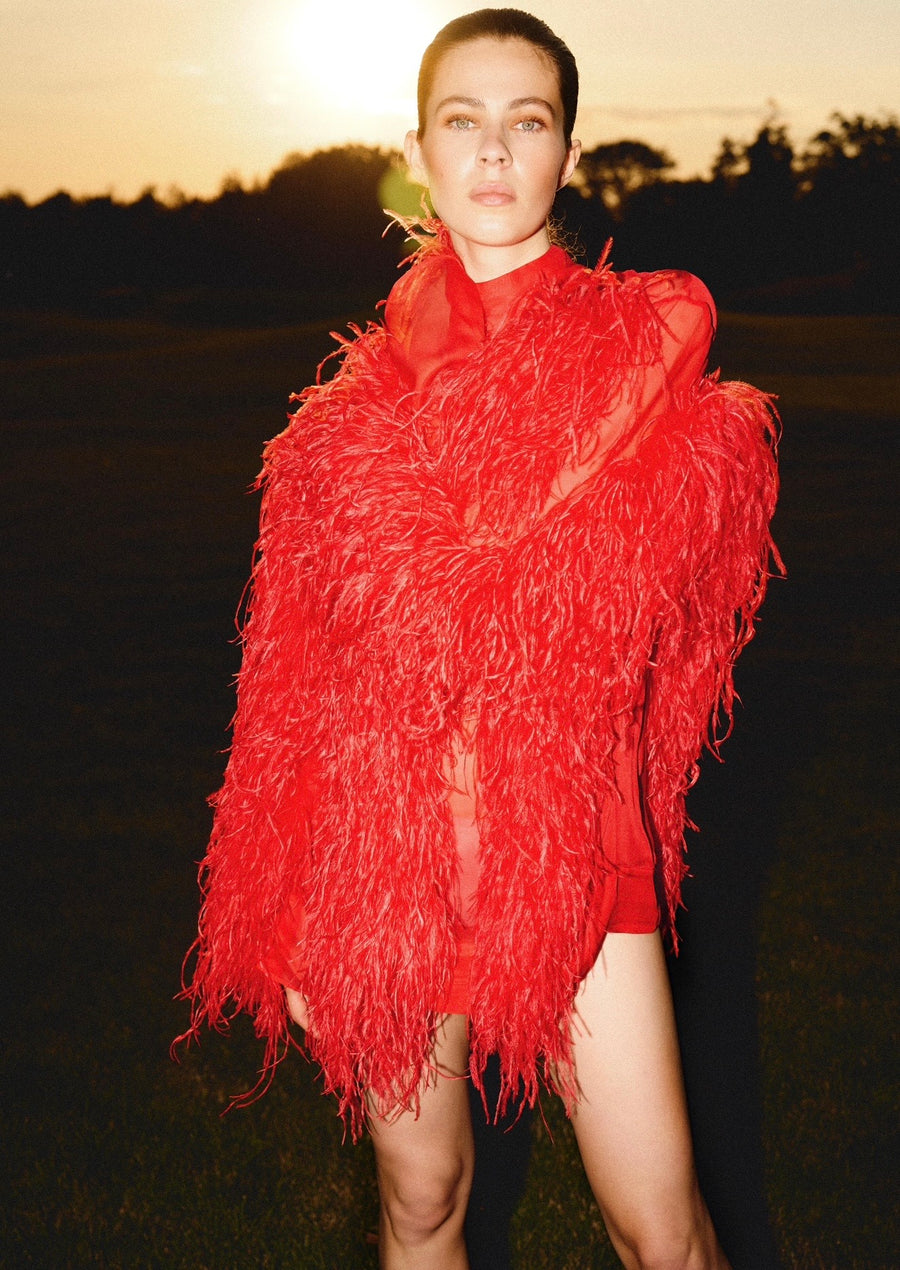 Red Silk Mini Dress with Feathers