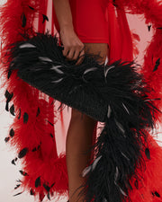 Black Bag with Feather Tail