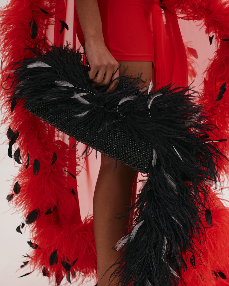 Black Bag with Feather Tail