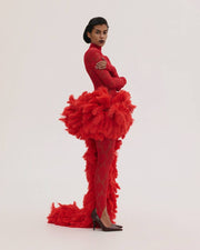 Lace Dress with Feathers Tail