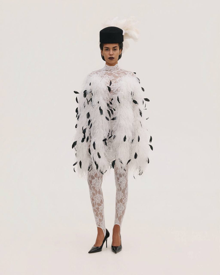 Lace Mini Dress with Feathers