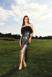 Dress w/Feathers