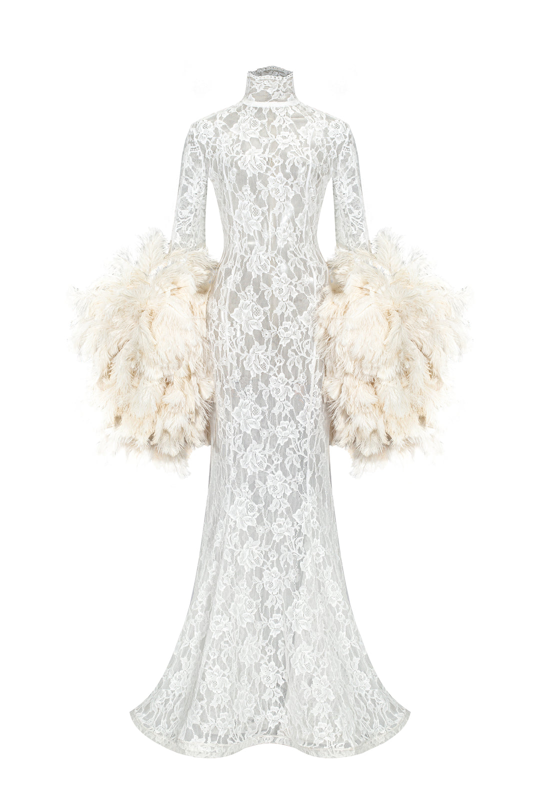 Lace Dress with Feathers Sleeves