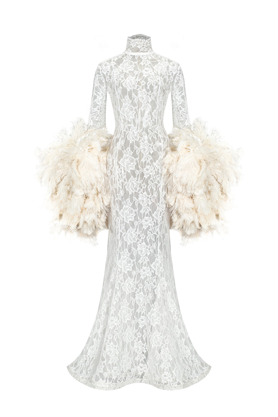 Lace Dress with Feathers Sleeves