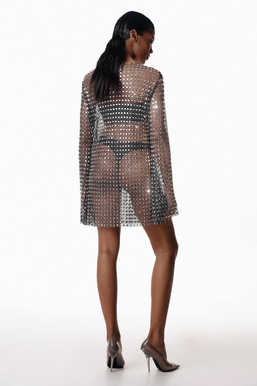 Flared Mini Mesh Dress