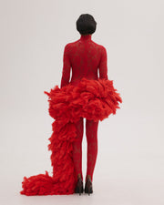 Lace Dress with Feathers Tail