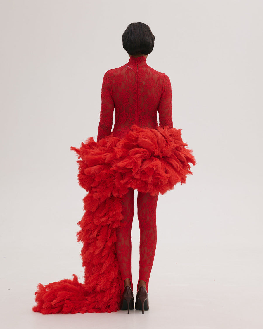 Lace Dress with Feathers Tail