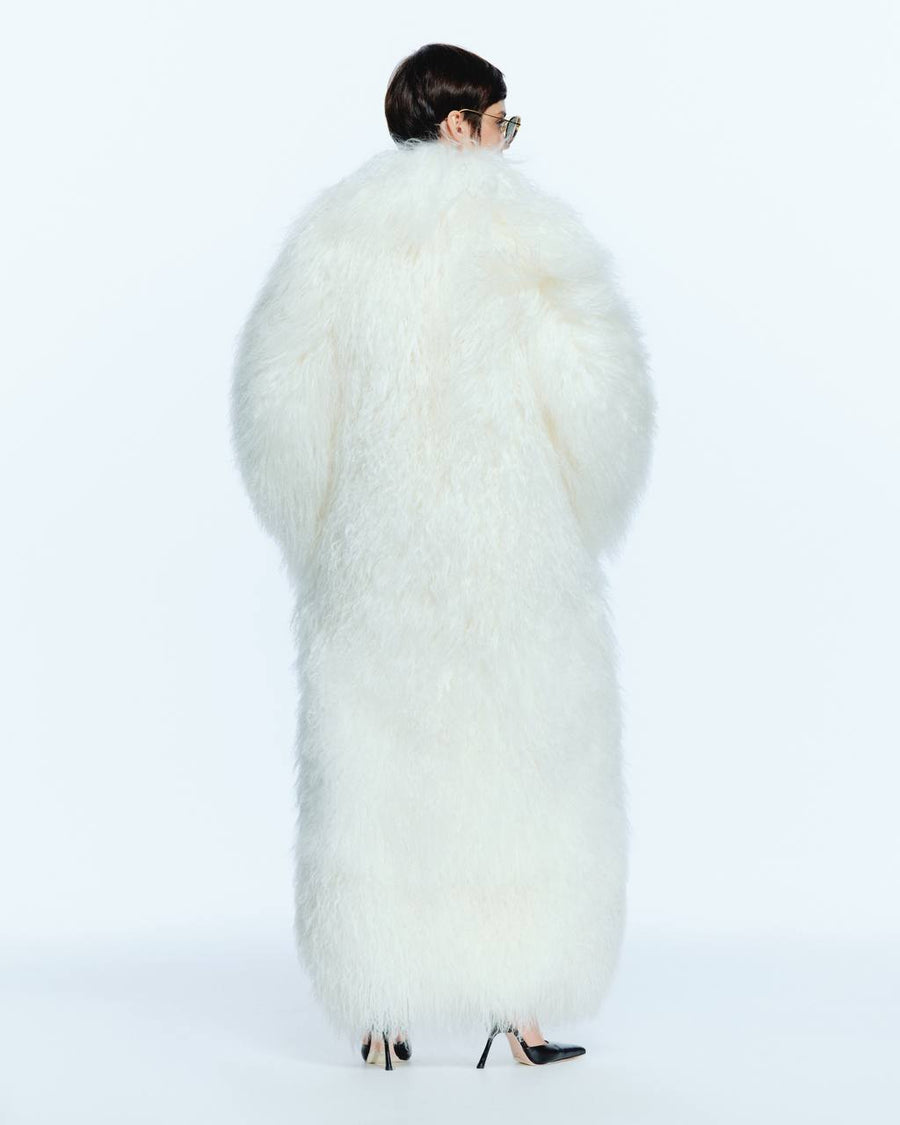 Long Fur Coat