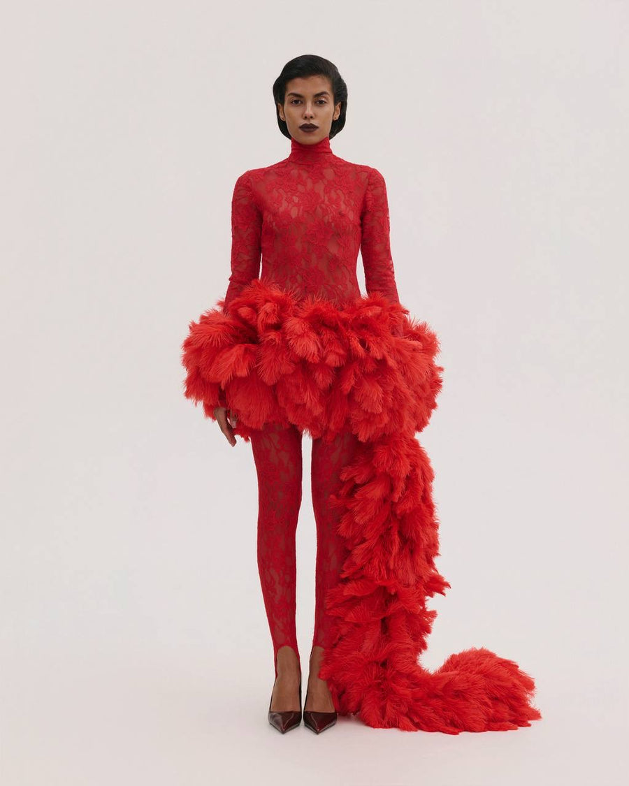 Lace Dress with Feathers Tail