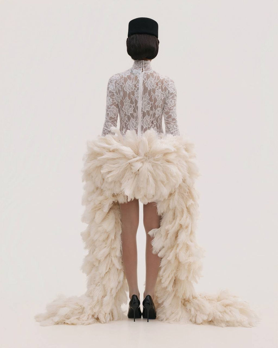 Lace Dress with a Feather Tails