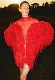 Red Silk Mini Dress with Feathers