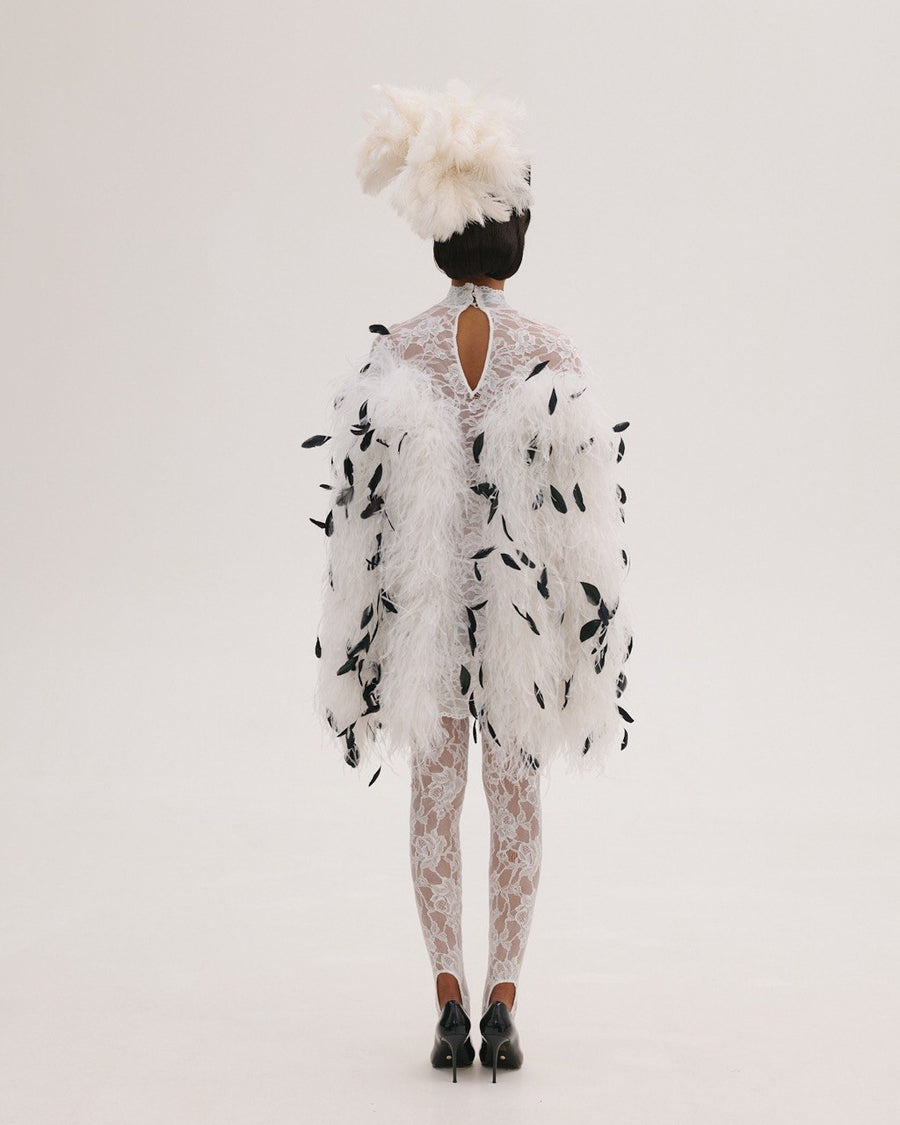 Lace Mini Dress with Feathers