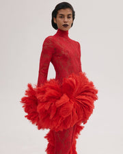 Lace Dress with Feathers Tail
