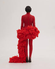 Lace Dress with Feathers Tail