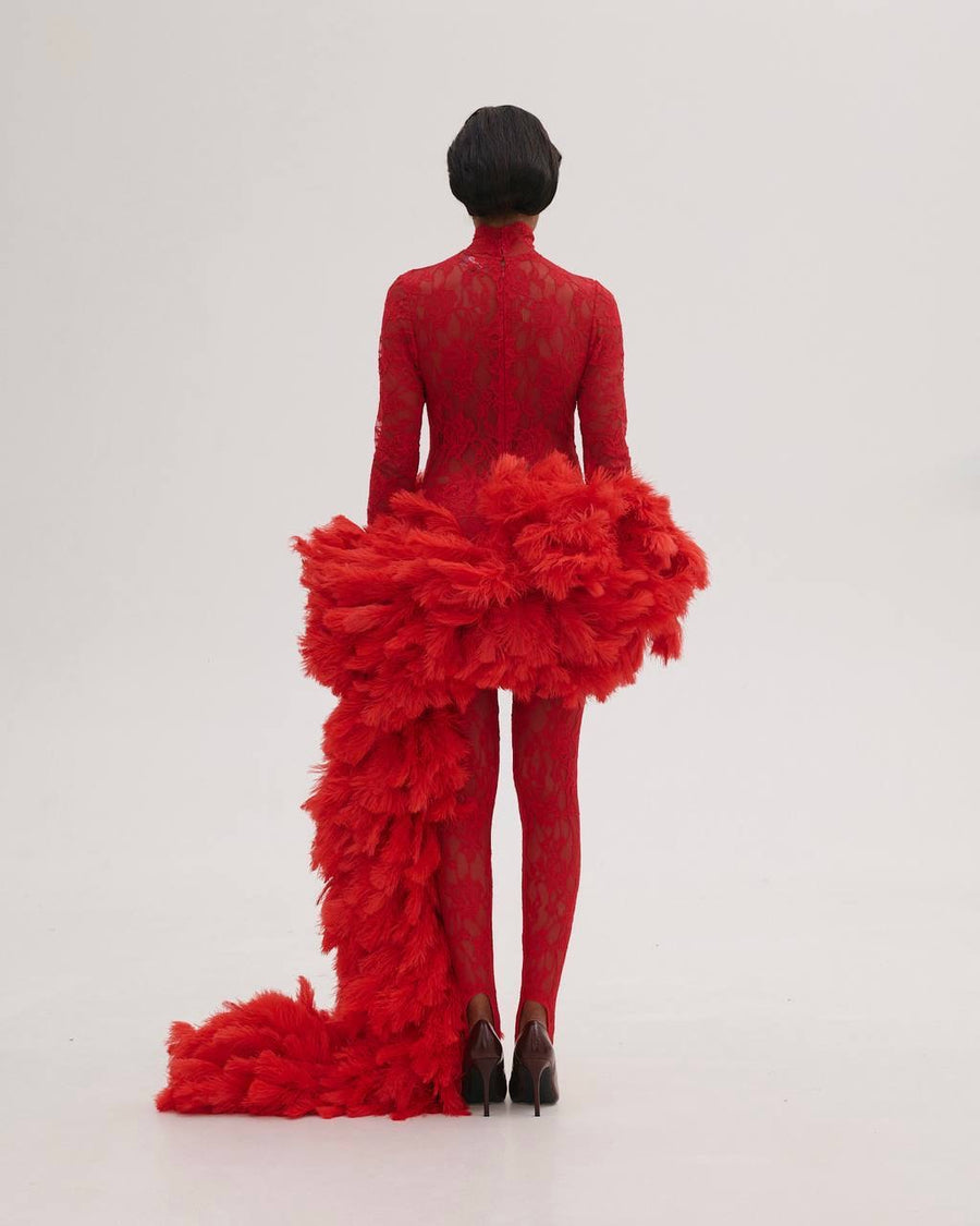 Lace Dress with Feathers Tail