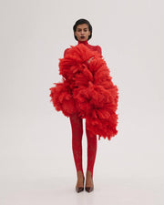Lace Dress with Feathers Tail