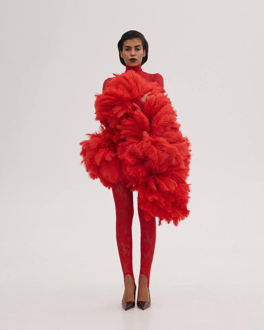 Lace Dress with Feathers Tail