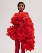 Lace Dress with Feathers Tail