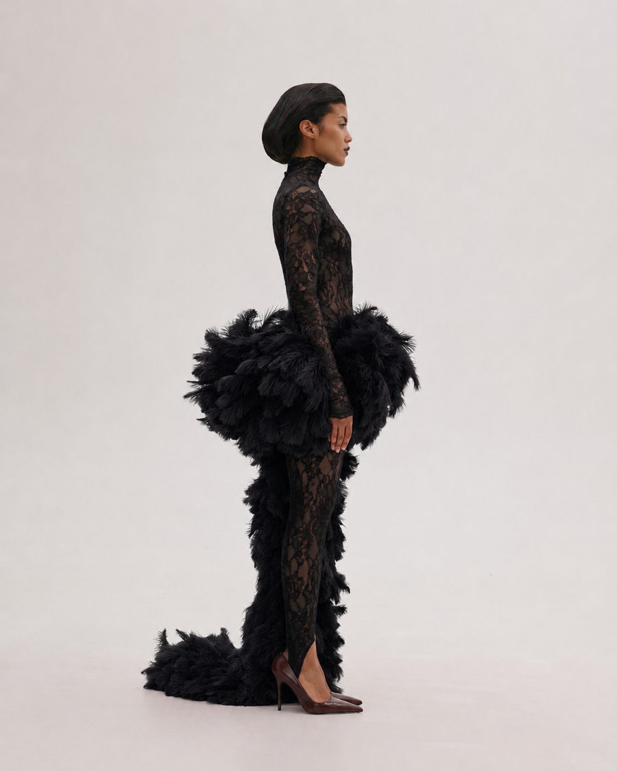 Lace Dress with Feathers Tail