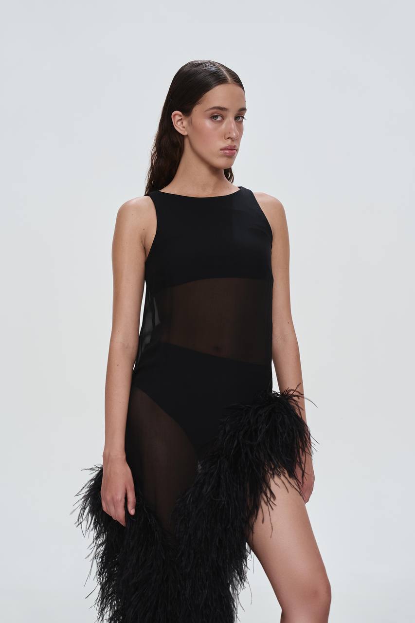 Dress with Feathers