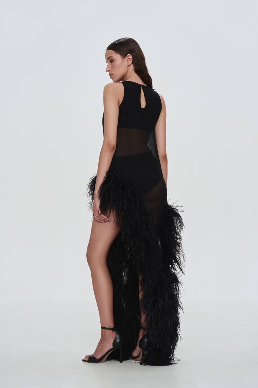 Dress with Feathers