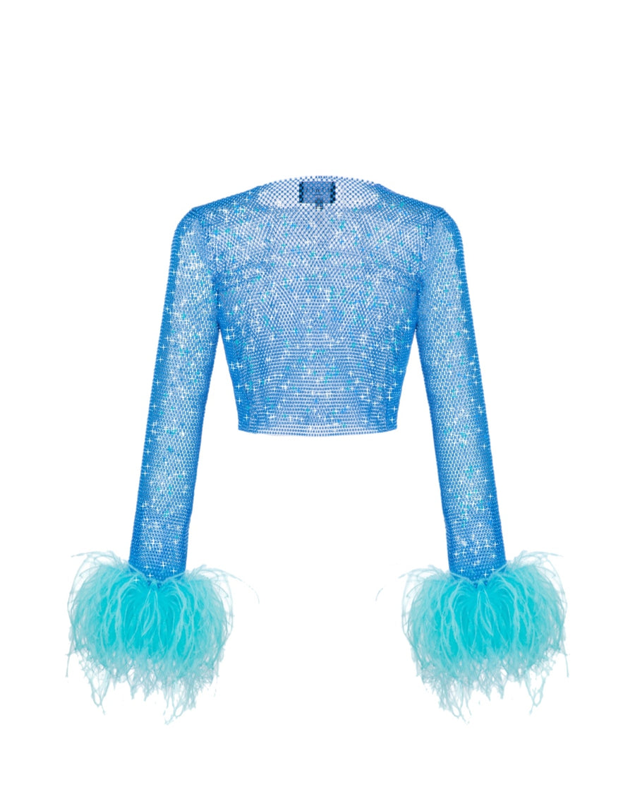 Sparkle Feathers Top