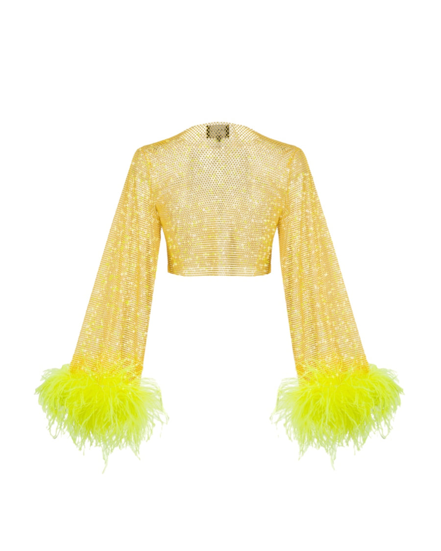 Sparkle Feathers Top Wide Sleeves