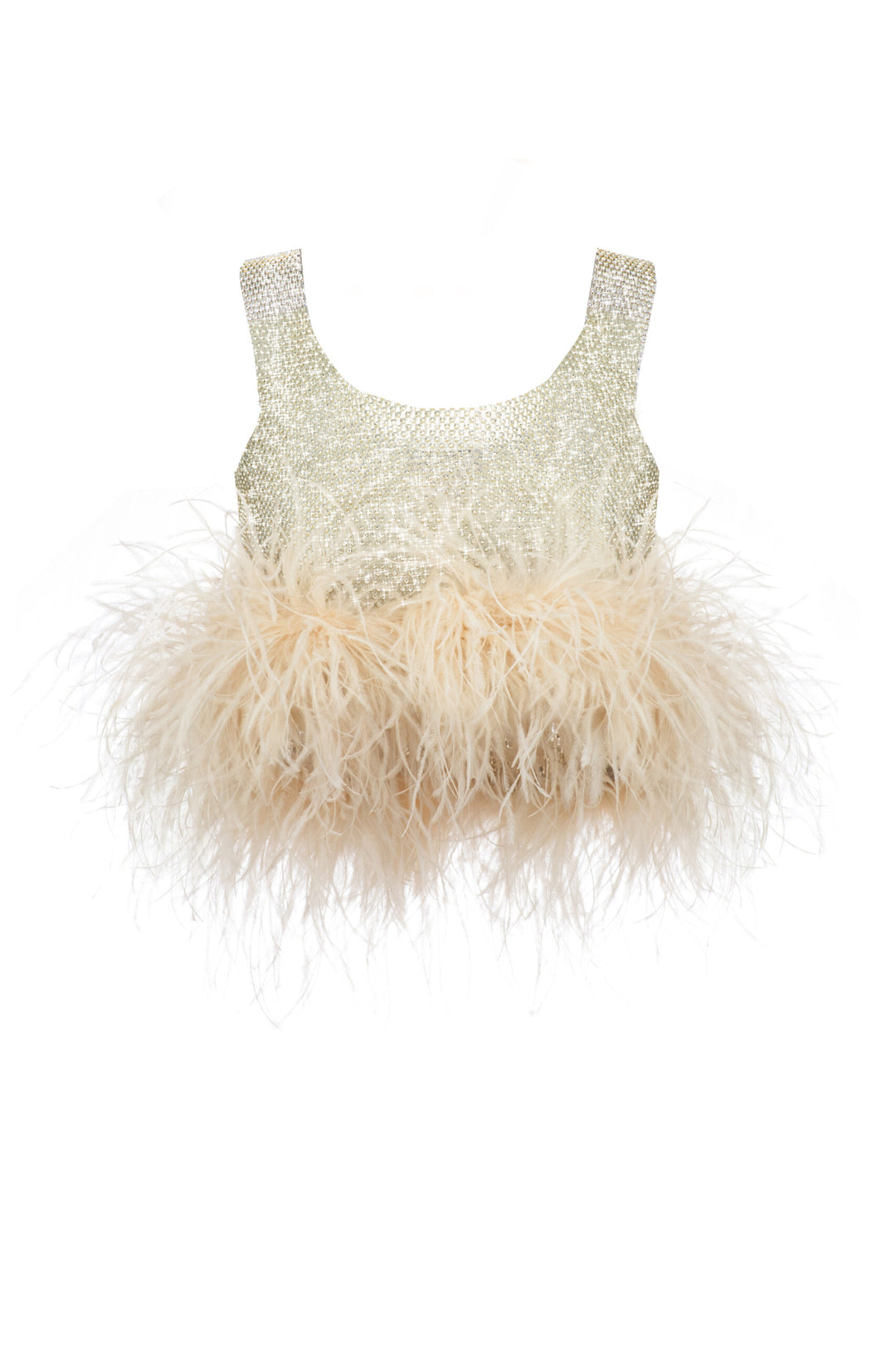 Crop Top With Feathers