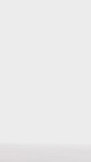 Lace midi skirt with silhouette lines