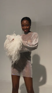 Feathers Dress